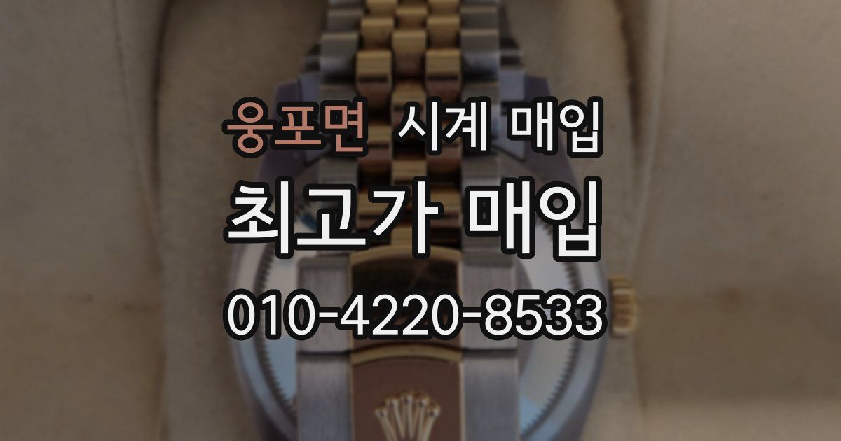 웅포면 시계 매입