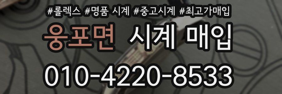 웅포면 시계 매입