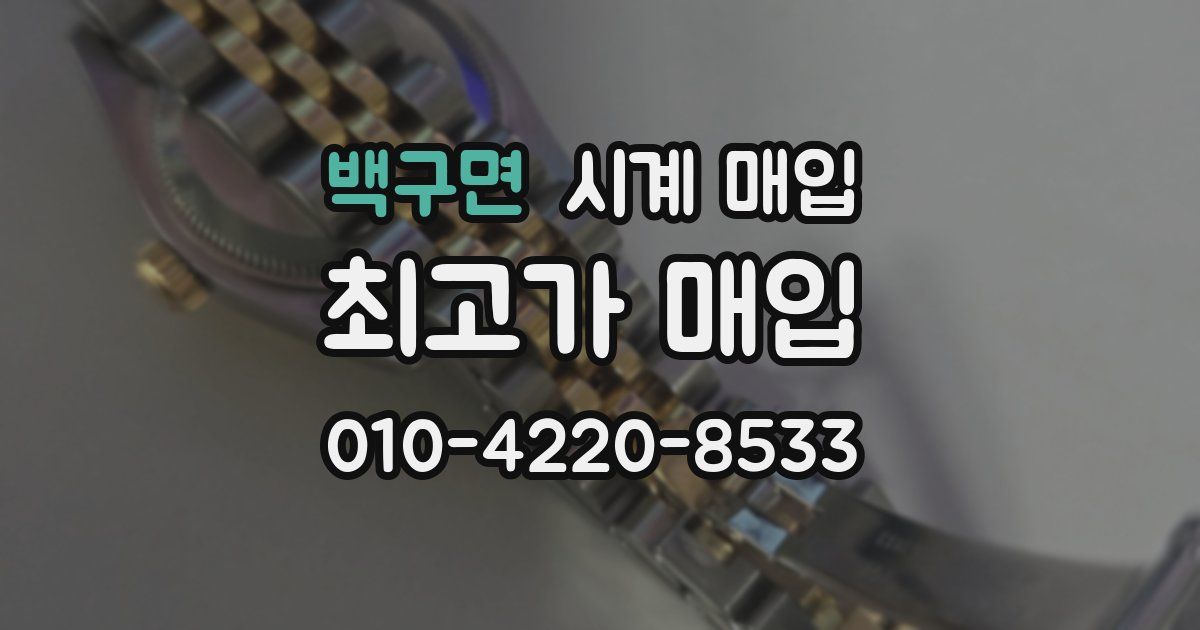 백구면 시계 매입