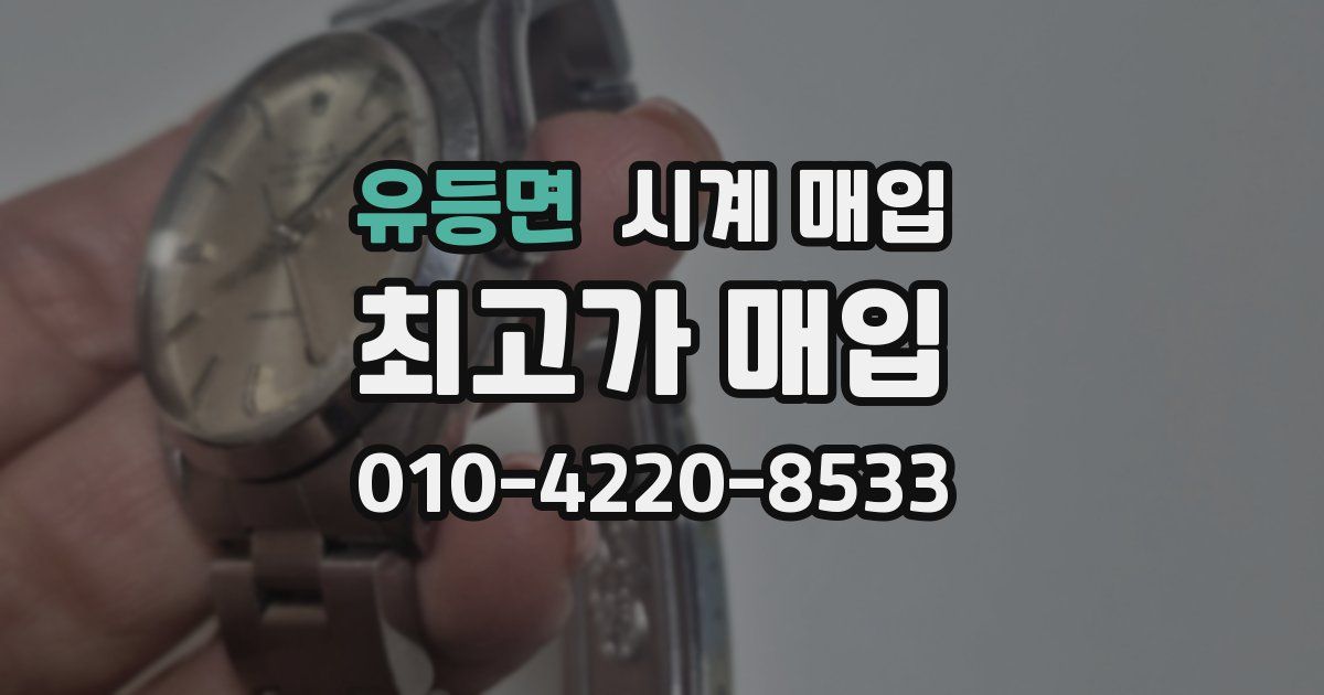 유등면 시계 매입