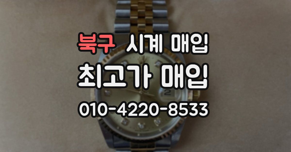 북구 시계 매입