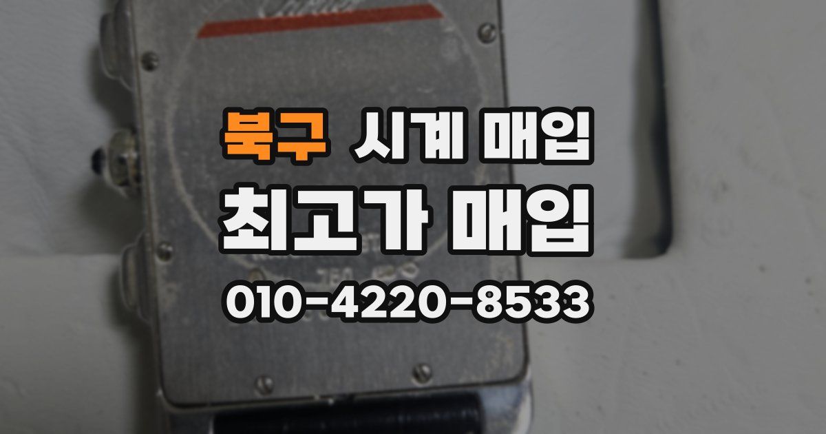 북구 시계 매입