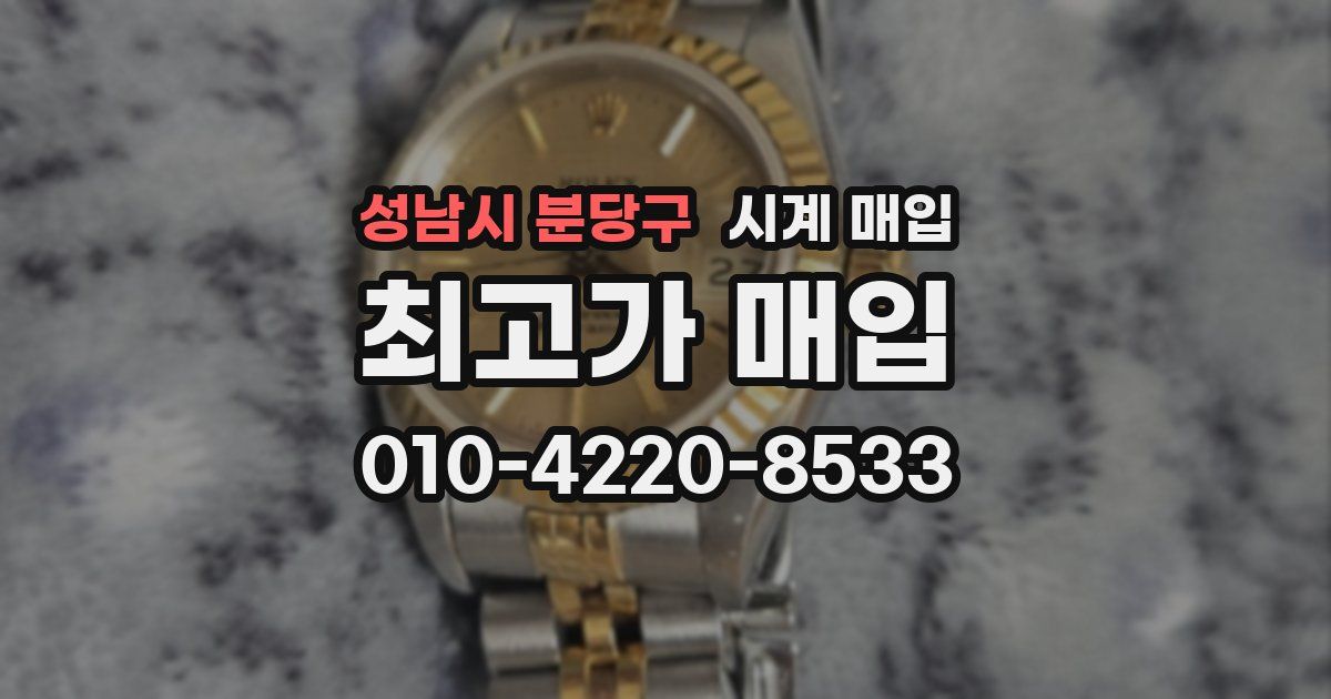성남시 분당구 시계 매입