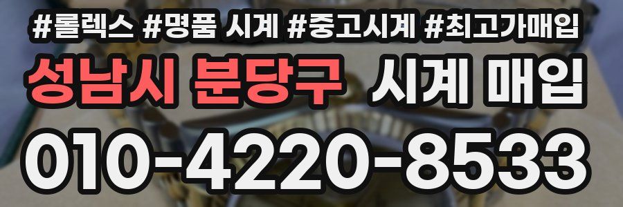 성남시 분당구 시계 매입