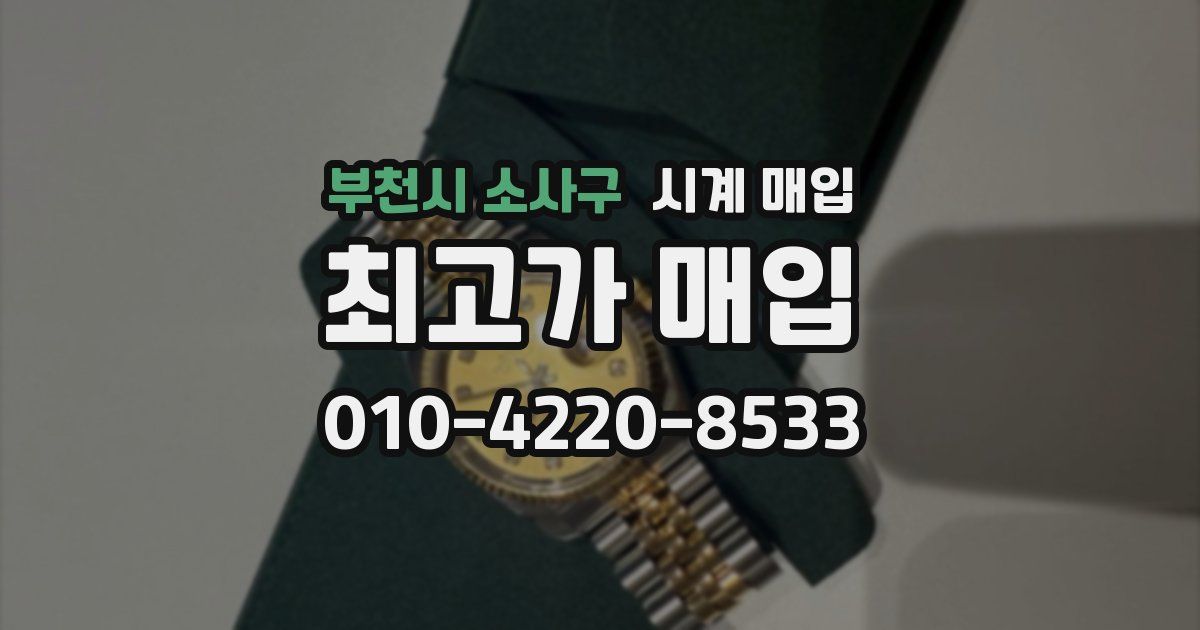 부천시 소사구 시계 매입