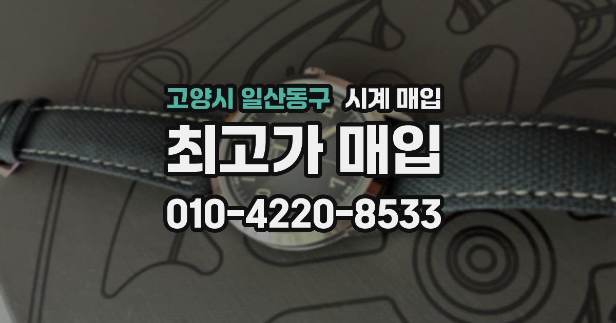 고양시 일산동구 시계 매입