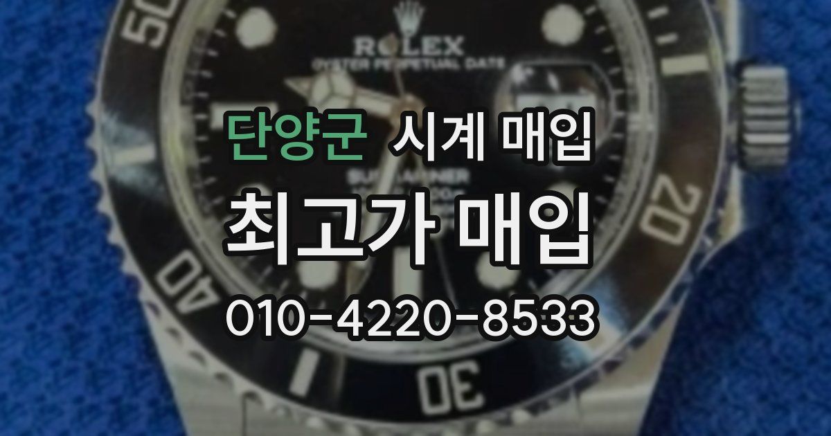 단양군 시계 매입