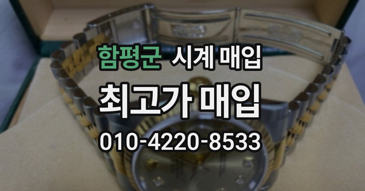 함평군 시계 매입
