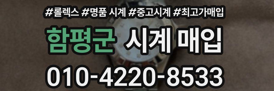 함평군 시계 매입