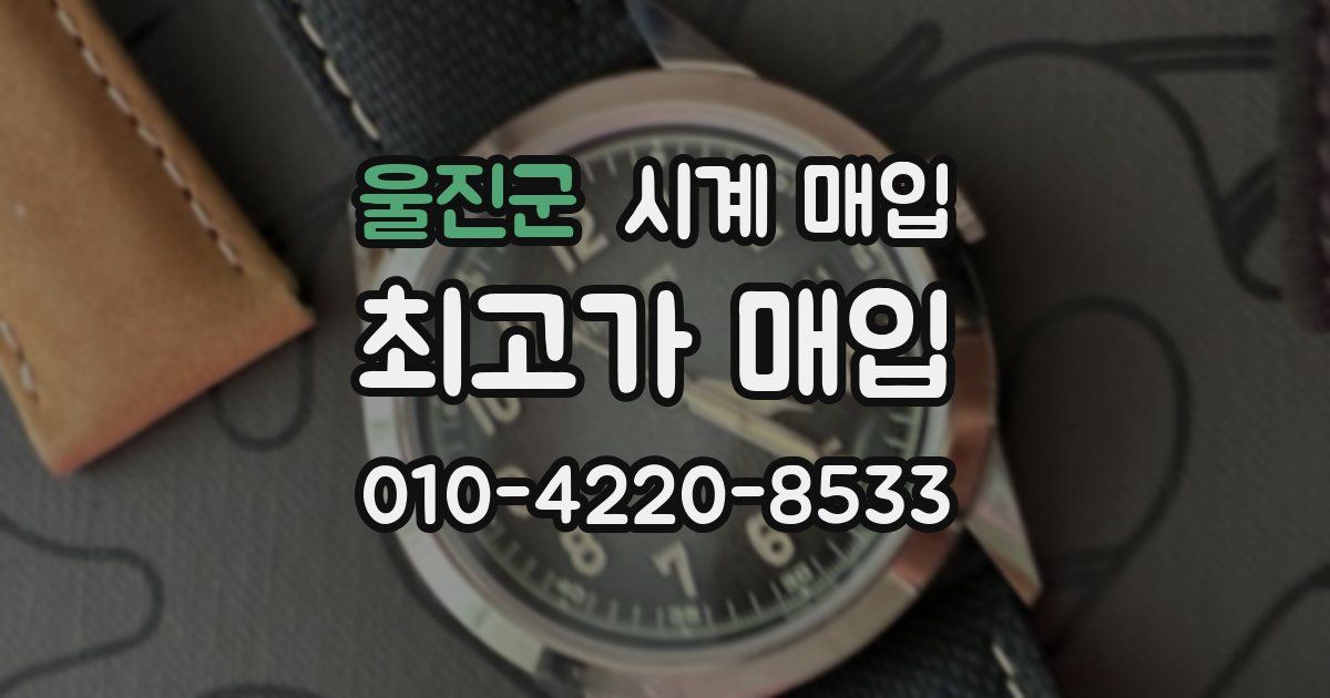 울진군 시계 매입