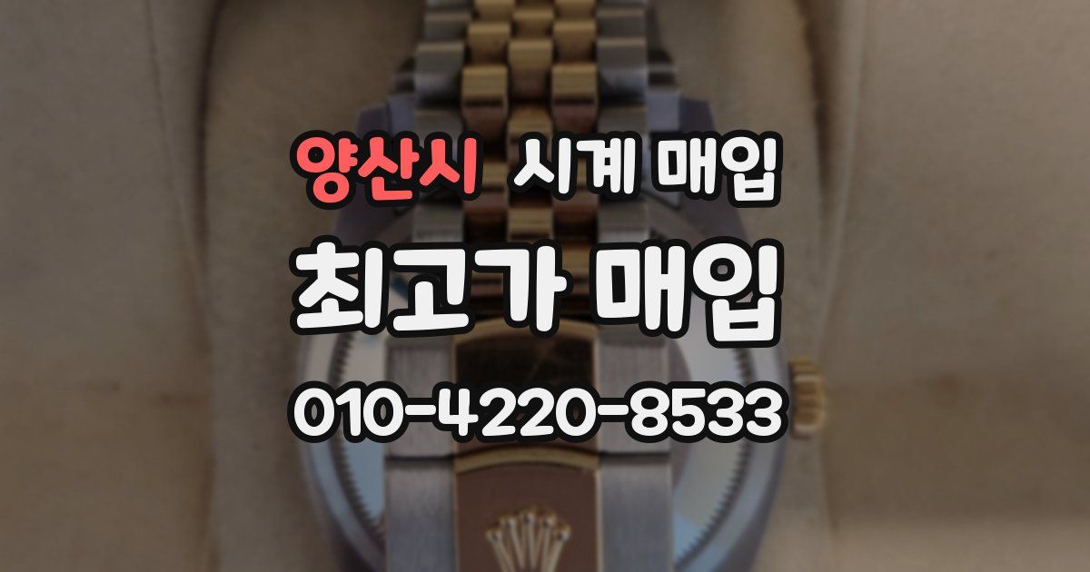 양산시 시계 매입