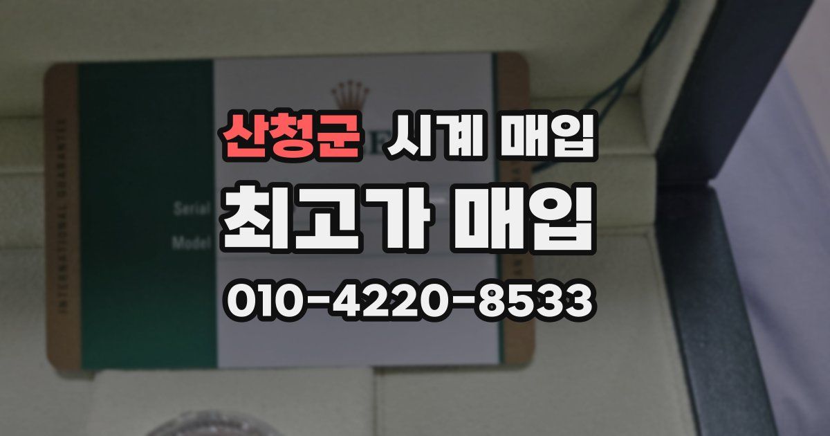 산청군 시계 매입