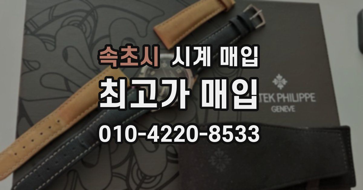 속초시 시계 매입