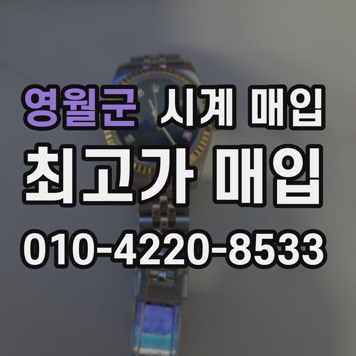 영월군 시계 매입