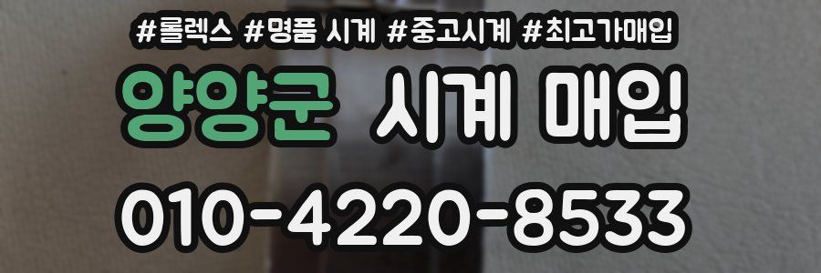 양양군 시계 매입