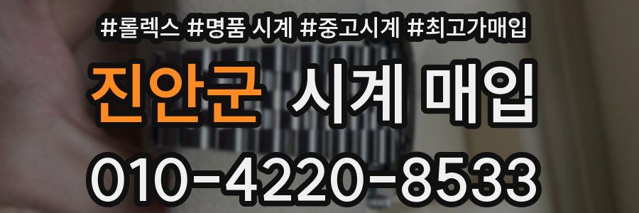 진안군 시계 매입