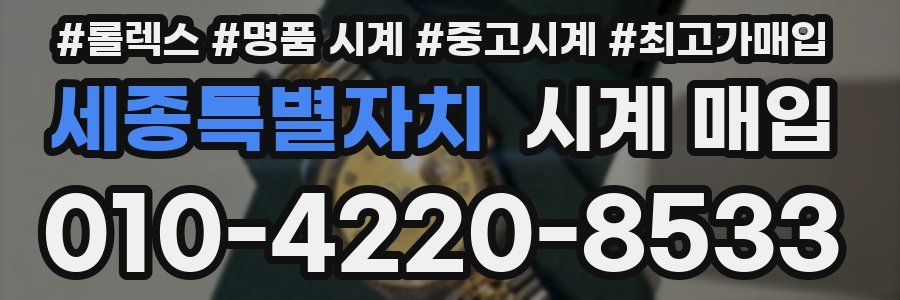 세종특별자치 시계 매입