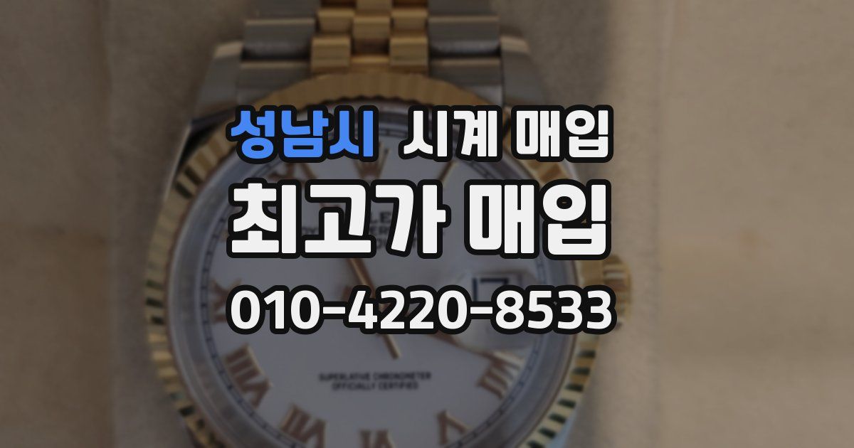 성남시 시계 매입