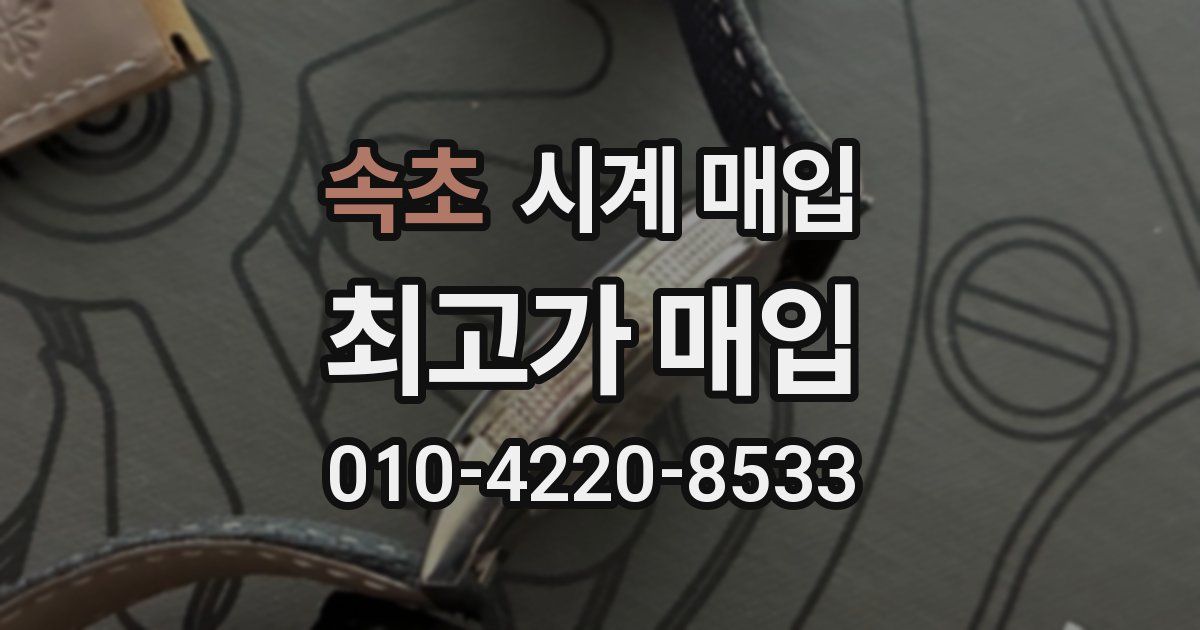 속초 시계 매입