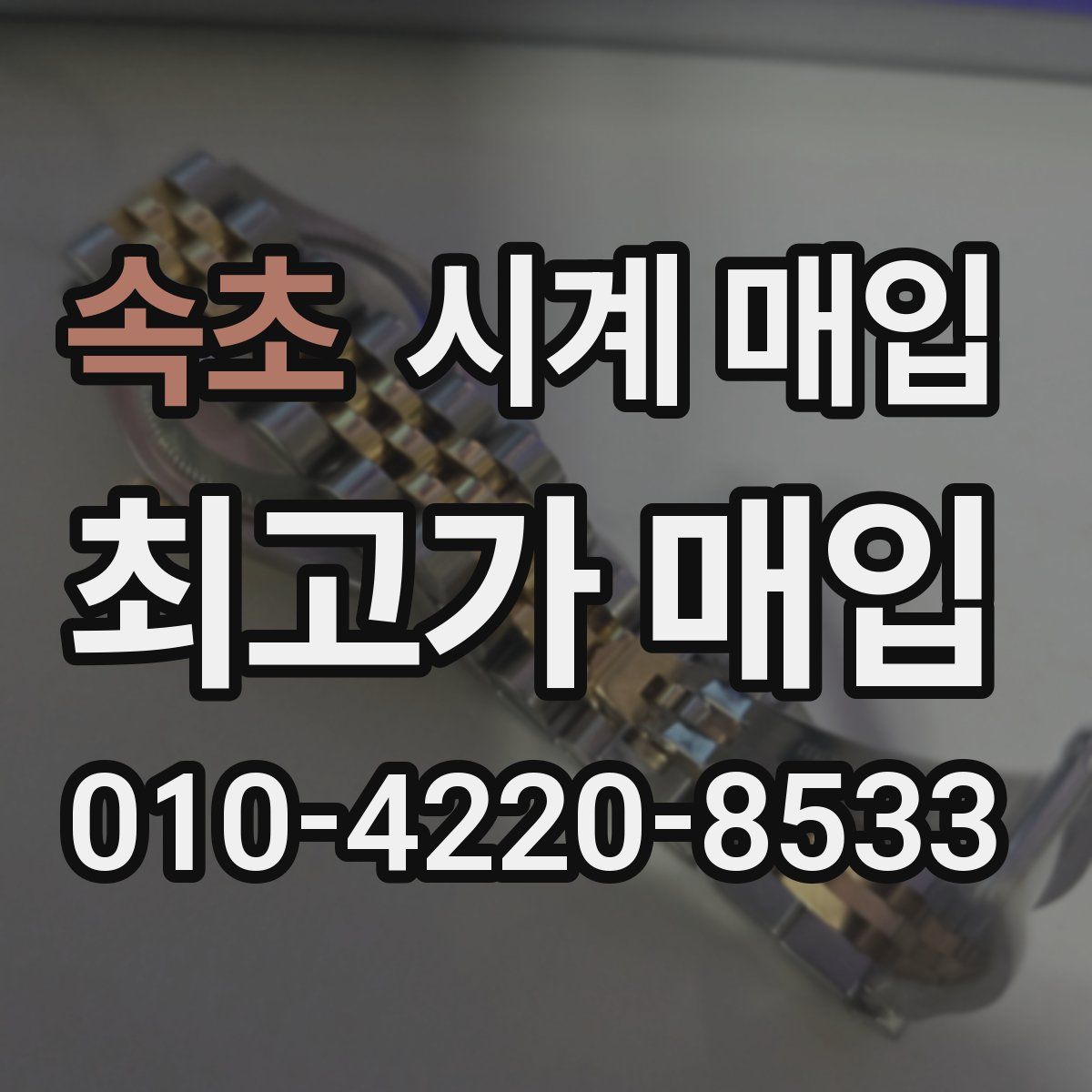 속초 시계 매입