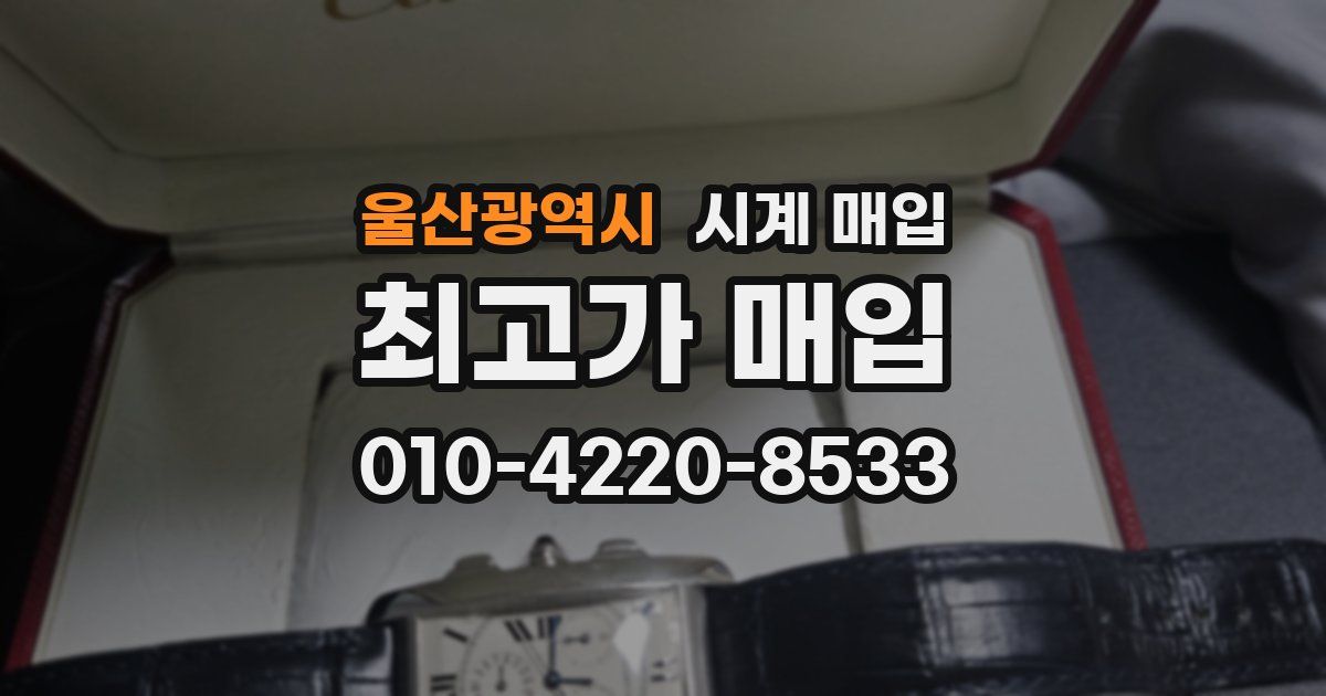 울산광역시 시계 매입