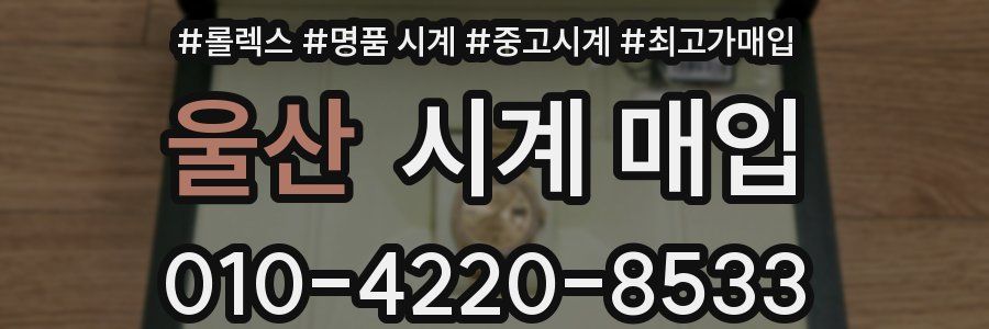 울산 시계 매입