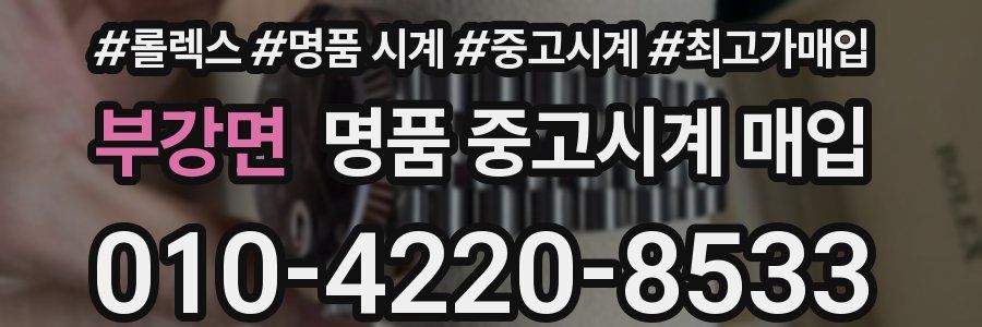 부강면 명품 중고시계 매입