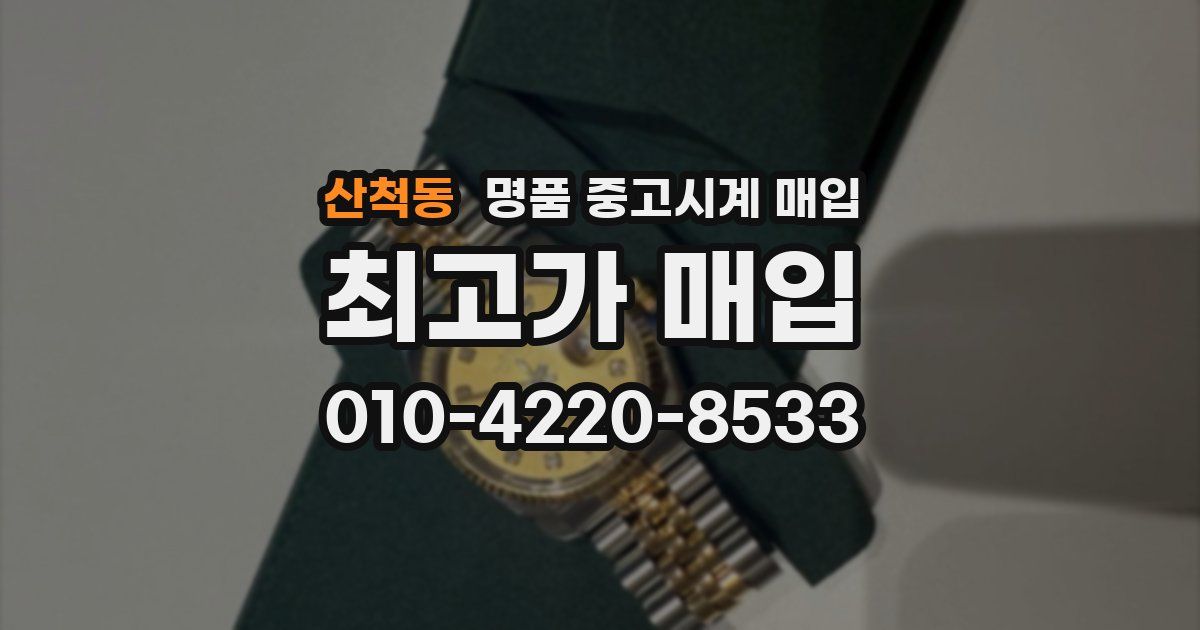 산척동 명품 중고시계 매입