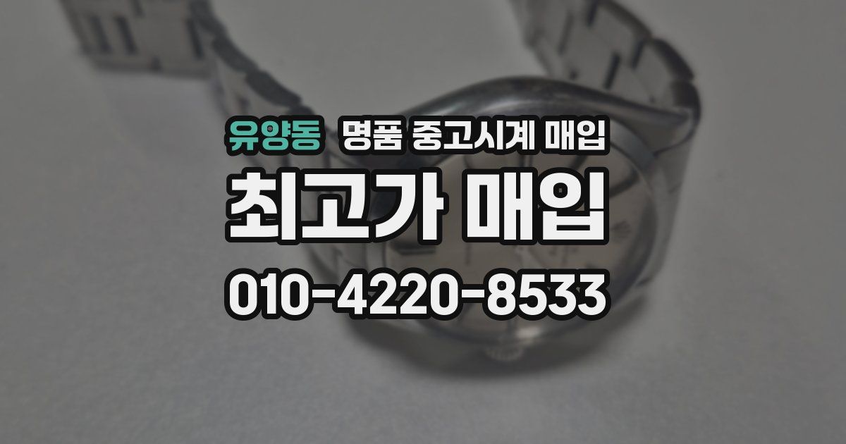유양동 명품 중고시계 매입