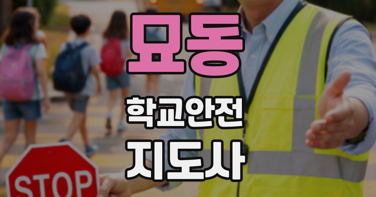 묘동 학교안전지도사 자격증