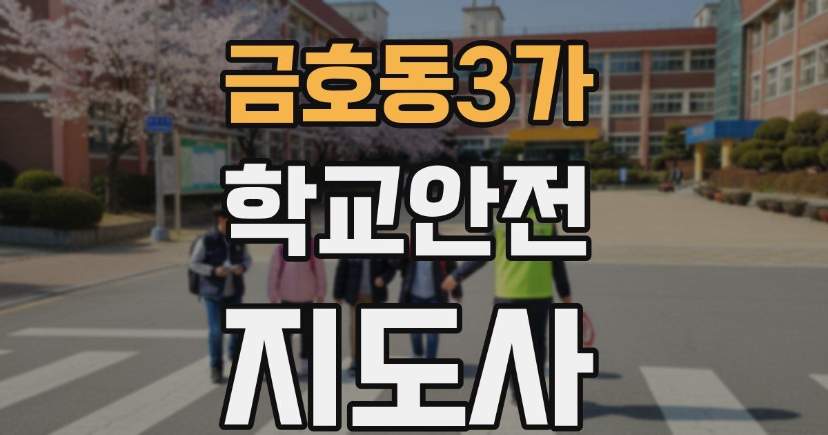 금호동3가 학교안전지도사 자격증