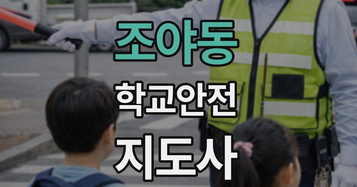 조야동 학교안전지도사 자격증