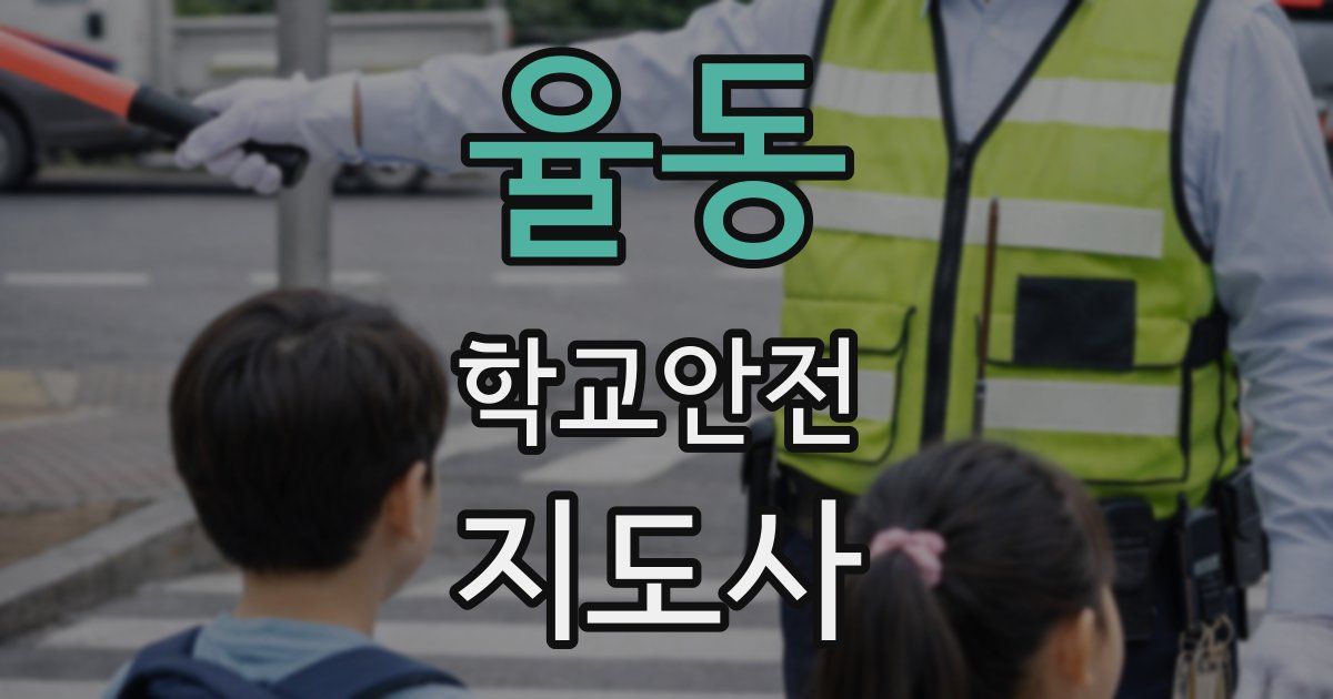 율동 학교안전지도사 자격증