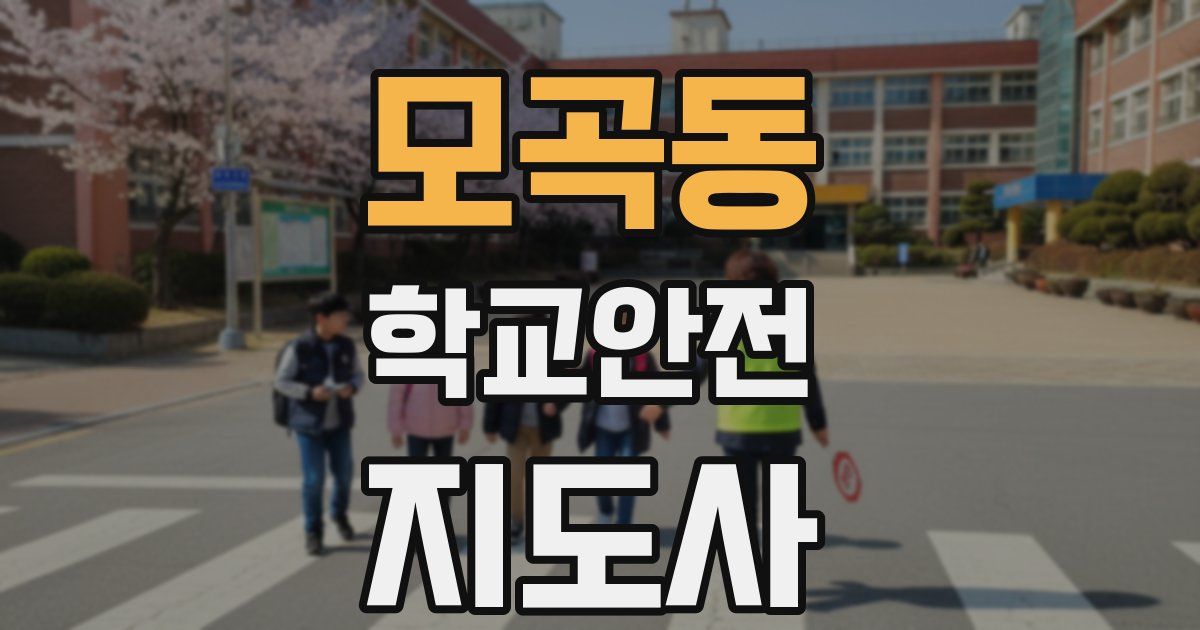 모곡동 학교안전지도사 자격증