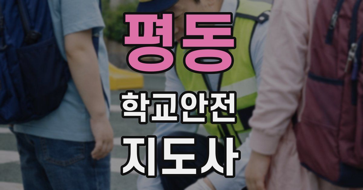 평동 학교안전지도사 자격증