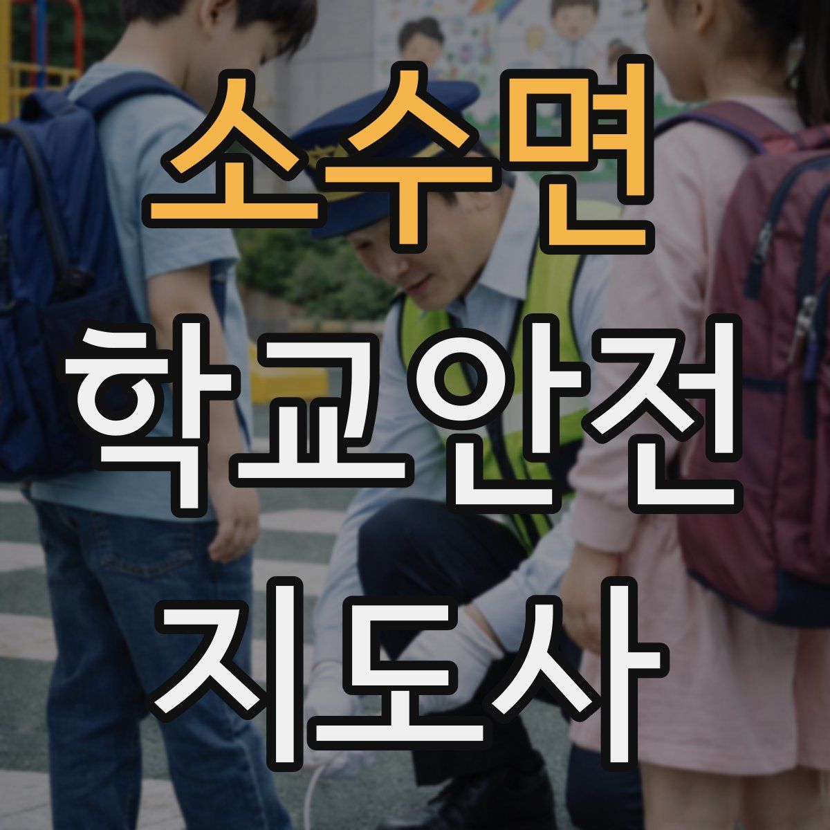 소수면 학교안전지도사 자격증