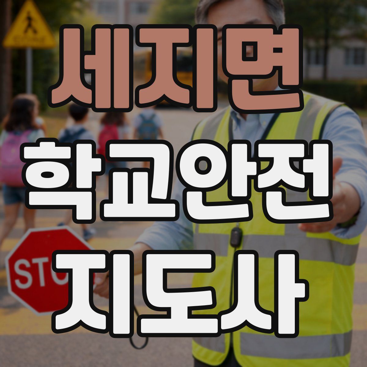 세지면 학교안전지도사 자격증