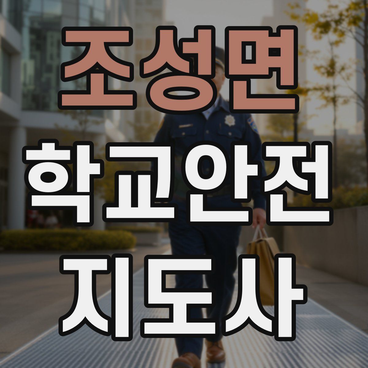 조성면 학교안전지도사 자격증