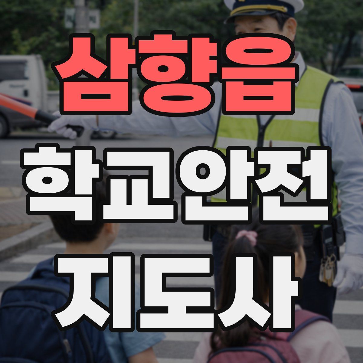 삼향읍 학교안전지도사 자격증