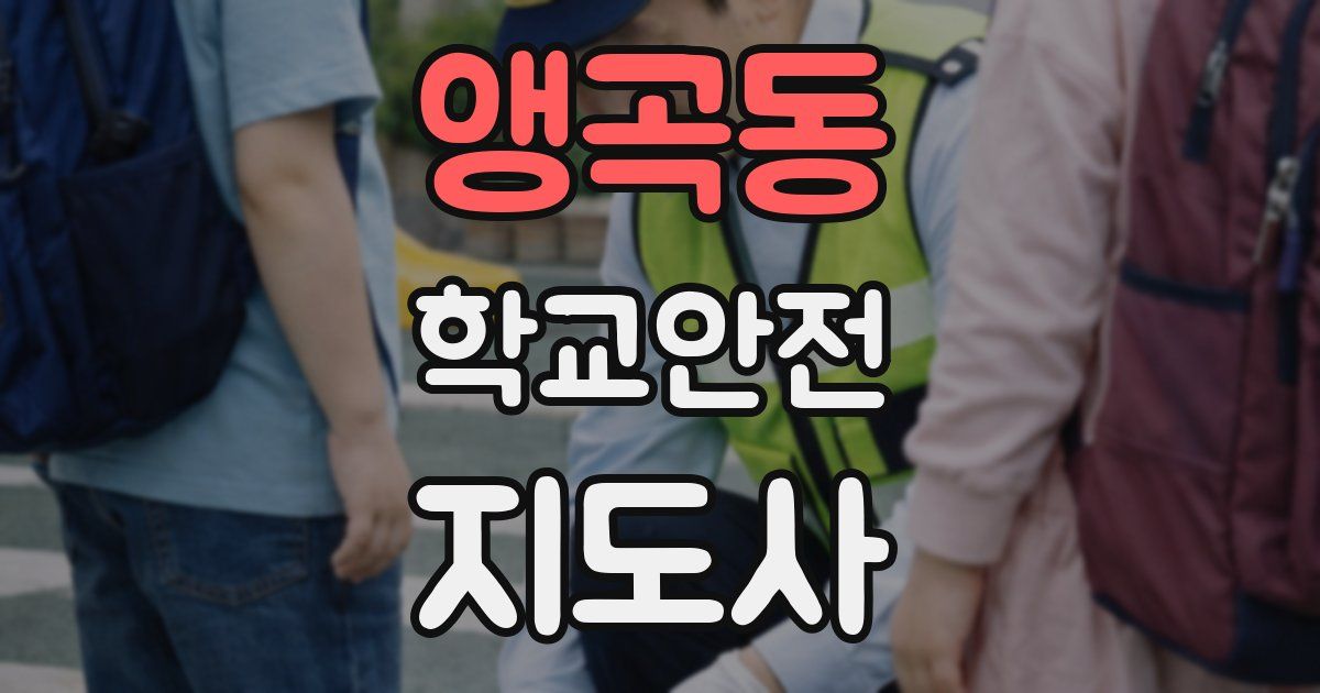 앵곡동 학교안전지도사 자격증