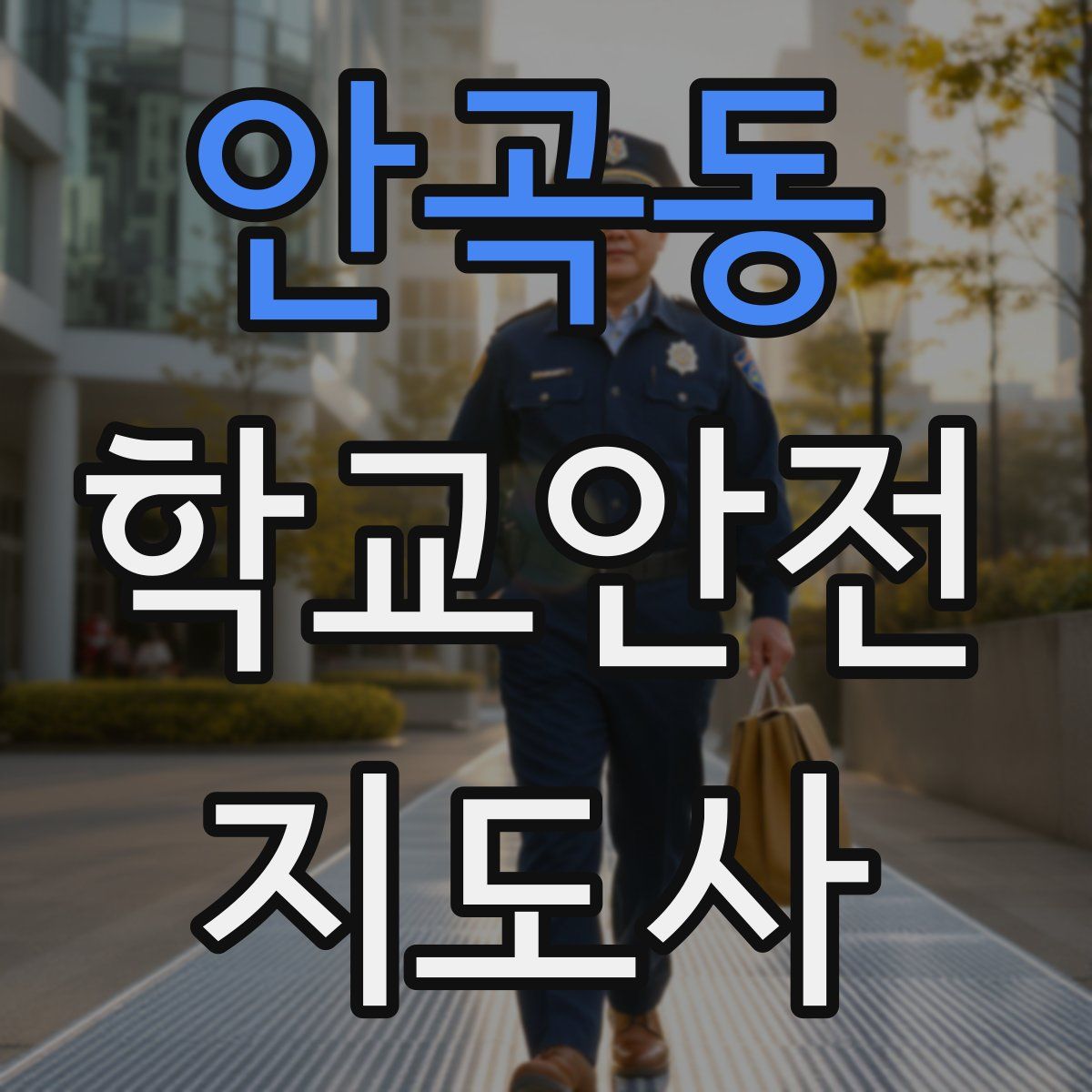 안곡동 학교안전지도사 자격증