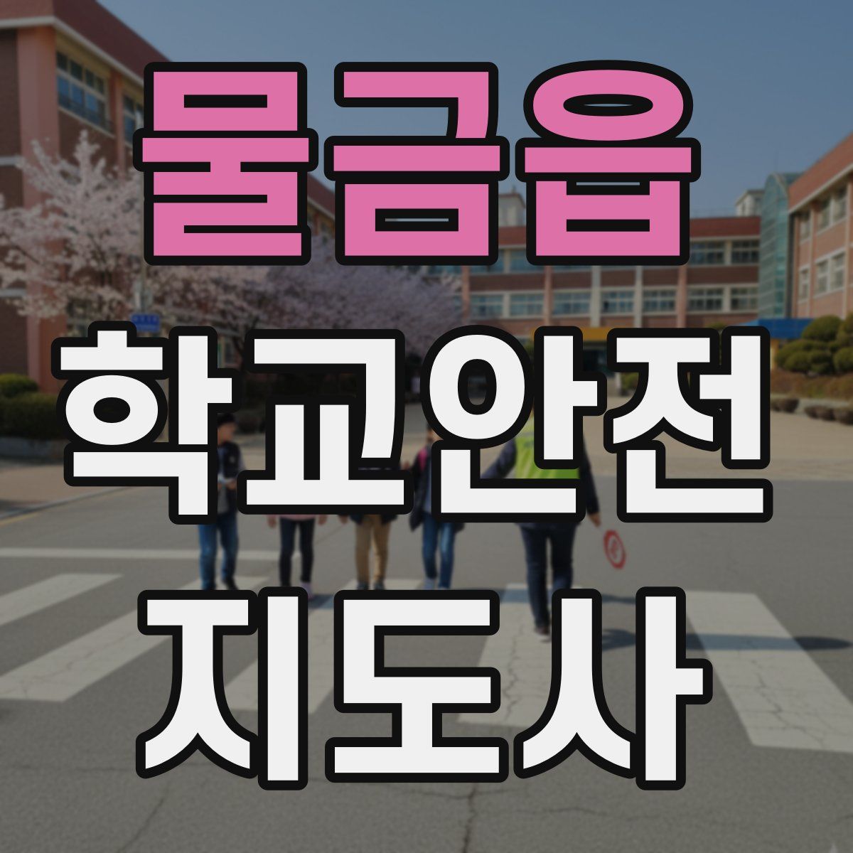 물금읍 학교안전지도사 자격증