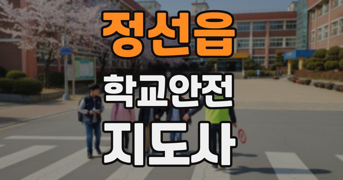 정선읍 학교안전지도사 자격증