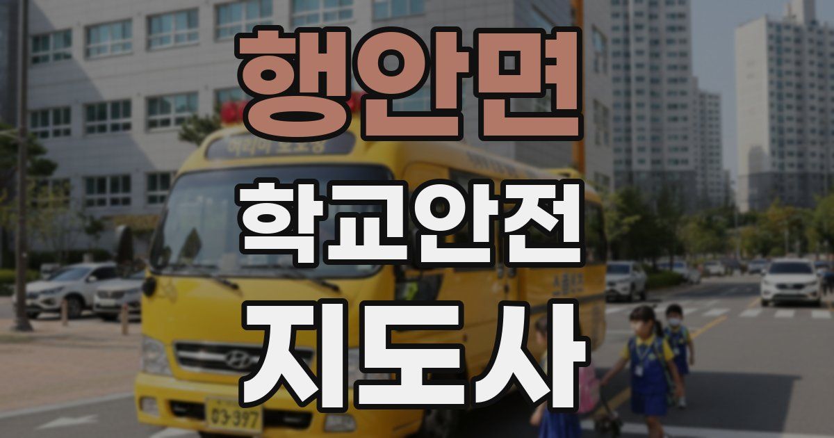 행안면 학교안전지도사 자격증