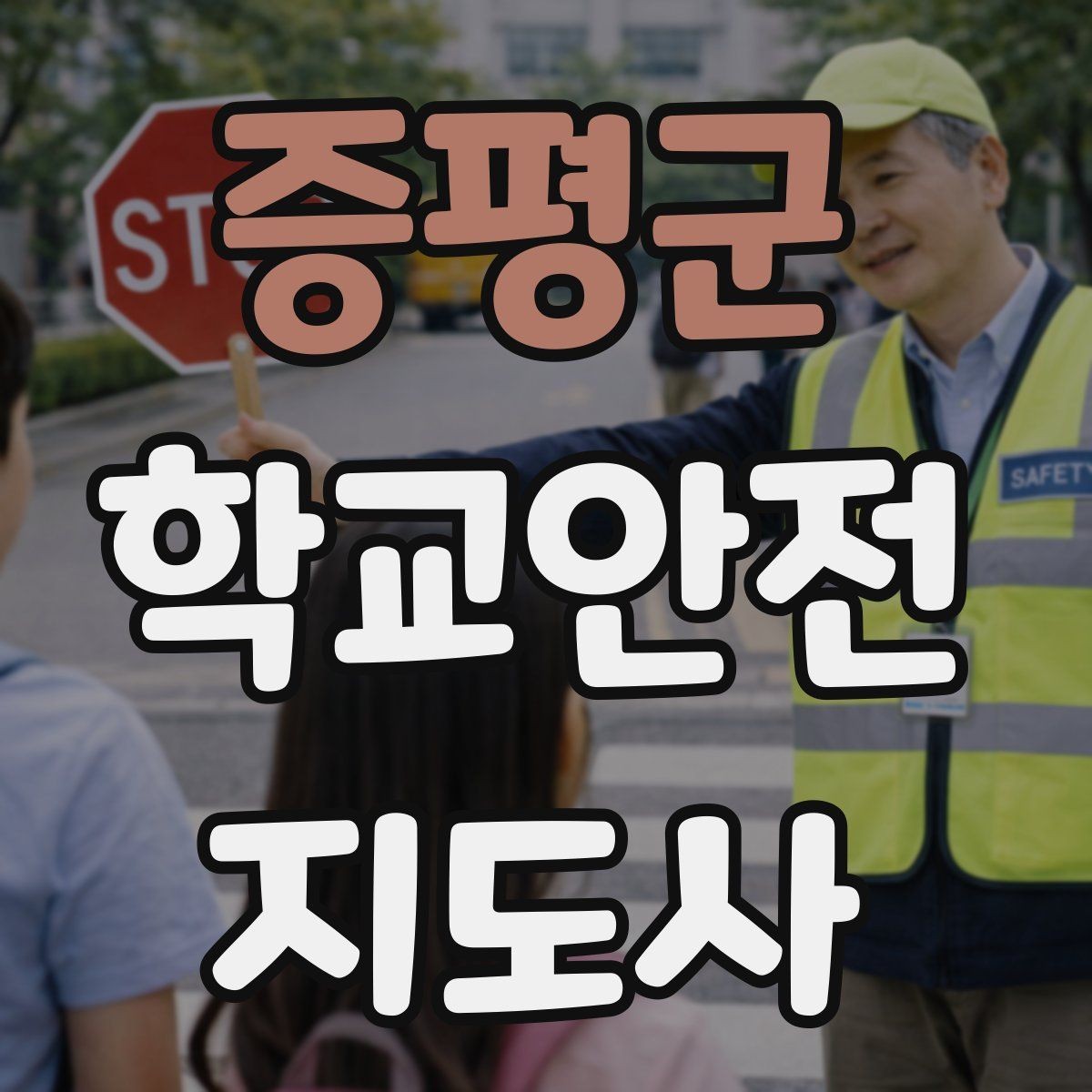 증평군 학교안전지도사 자격증 단기간 준비를 위한 학습 계획