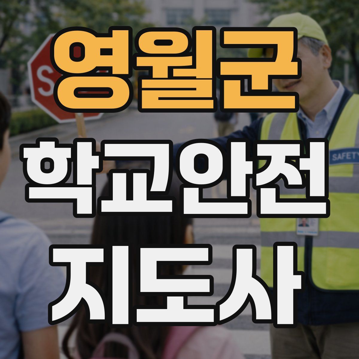 영월군 학교안전지도사 자격증