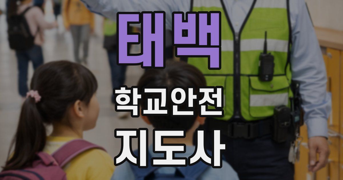 태백 학교안전지도사 자격증