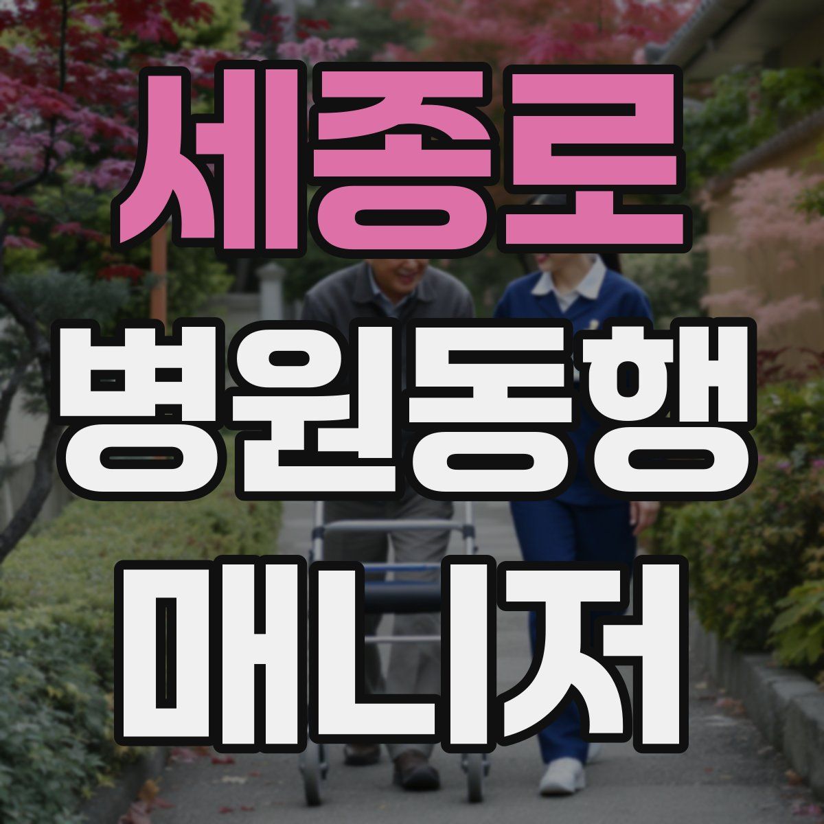 세종로 병원동행매니저 자격증