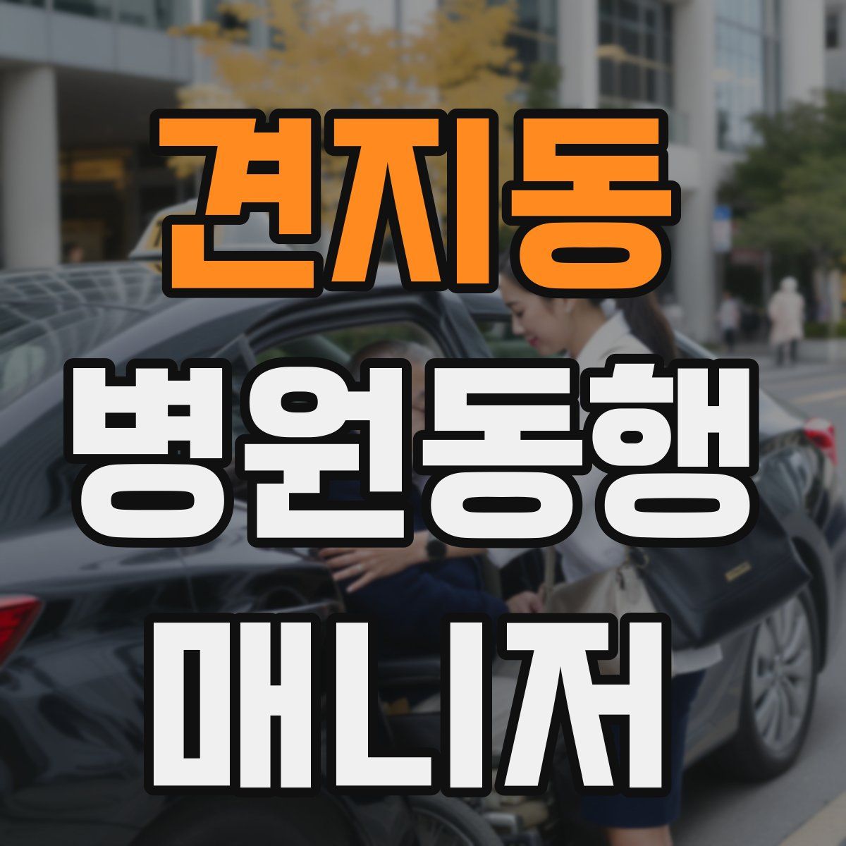 견지동 병원동행매니저 자격증