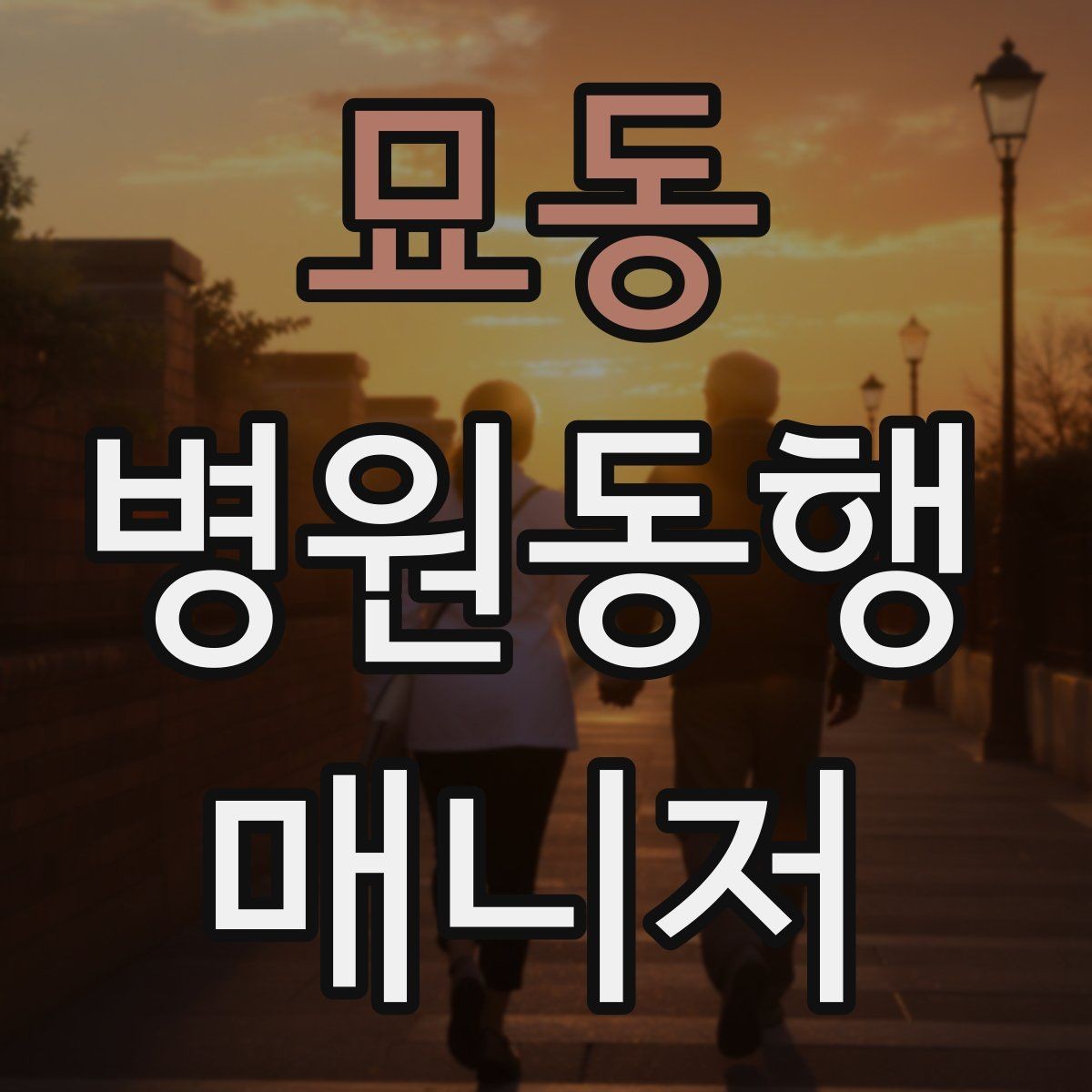 묘동 병원동행매니저 자격증 병원 주차가 막힐 때 대체 계획